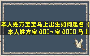 本人姓方宝宝马上出生如何起名（本人姓方宝 🐬 宝 🕊 马上出生如何起名字）